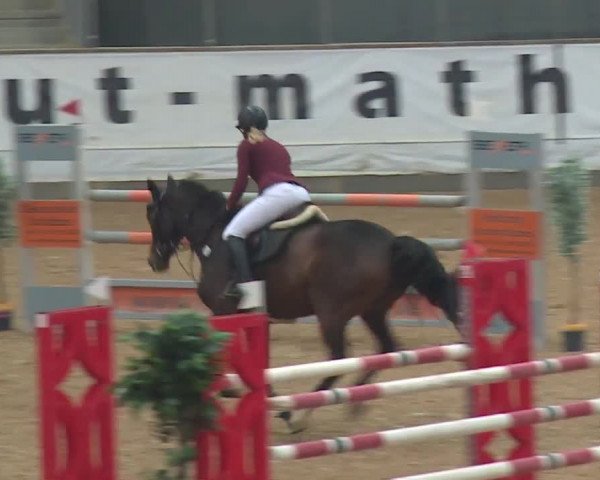 Reitturnier Kreuth/Opf. 2019