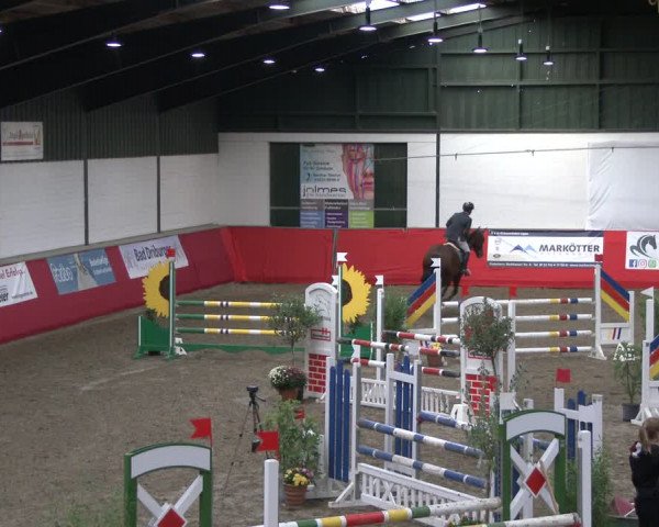 Reitturnier Salzkotten 2019