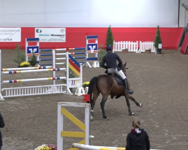 Reitturnier Salzkotten 2019