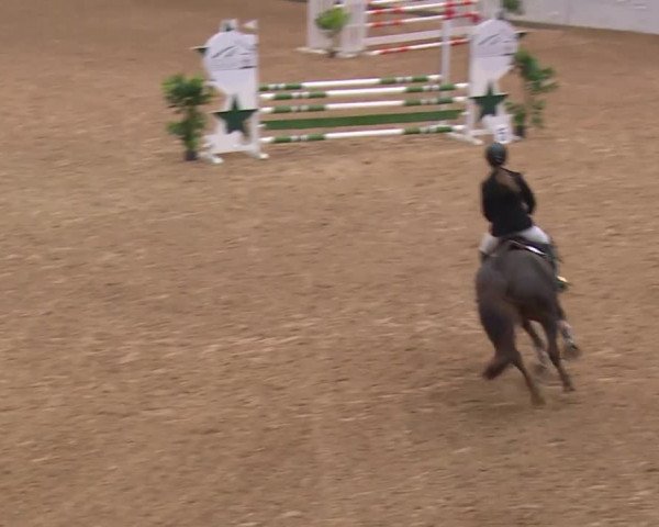 Reitturnier Kreuth/Opf. 2019