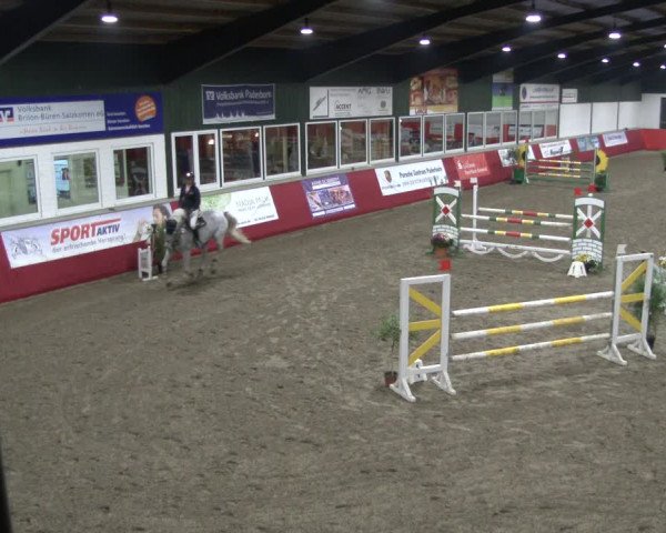 Reitturnier Salzkotten 2019