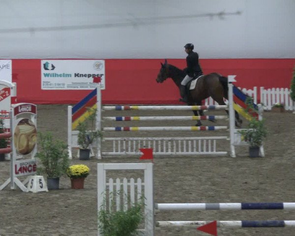 Reitturnier Salzkotten 2019