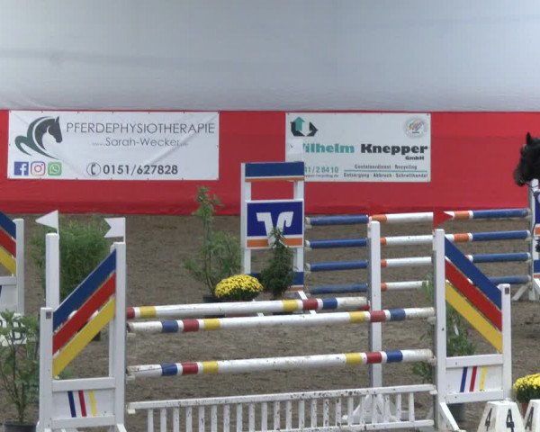 Reitturnier Salzkotten 2019