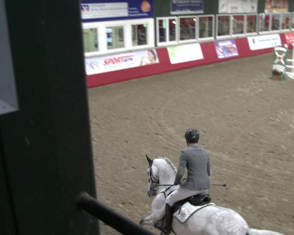 Reitturnier Salzkotten 2019