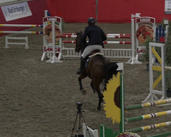 Reitturnier Salzkotten 2019