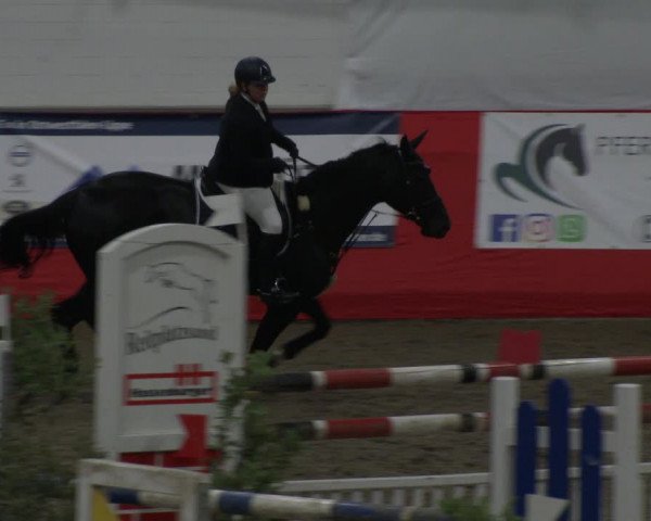 Reitturnier Salzkotten 2019