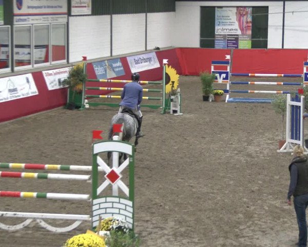 Reitturnier Salzkotten 2019