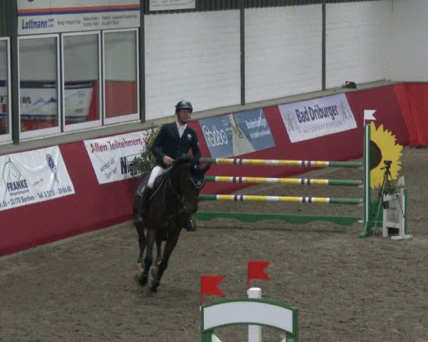 Reitturnier Salzkotten 2019