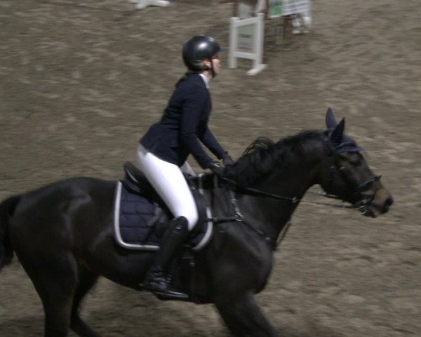 Reitturnier Salzkotten 2019