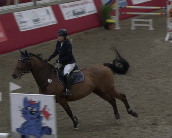 Reitturnier Salzkotten 2019