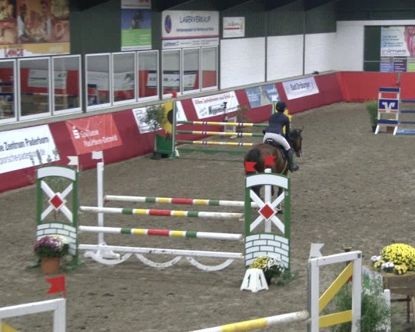 Reitturnier Salzkotten 2019