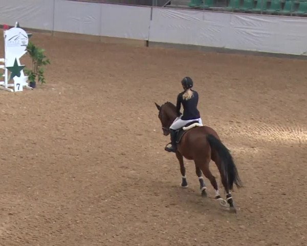 Reitturnier Kreuth/Opf. 2019