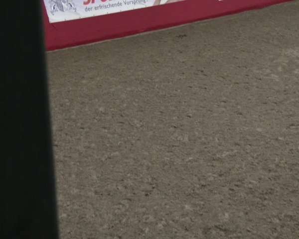 Reitturnier Salzkotten 2019
