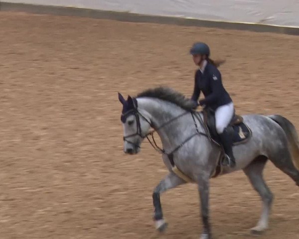Reitturnier Kreuth/Opf. 2019