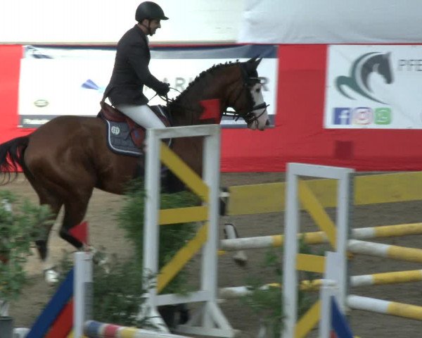 Reitturnier Salzkotten 2019