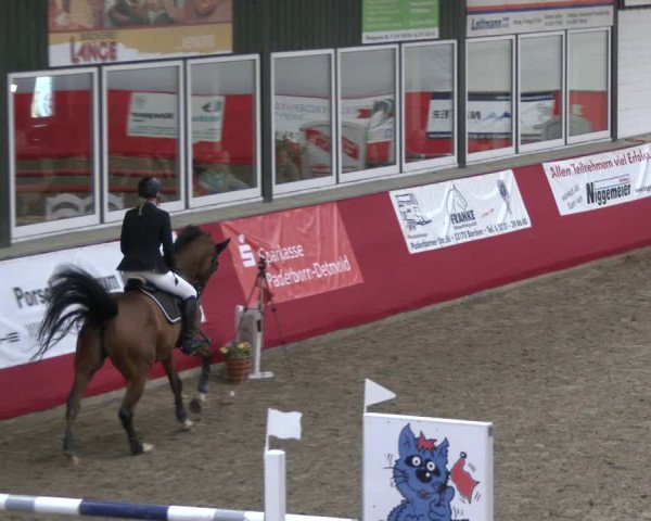 Reitturnier Salzkotten 2019