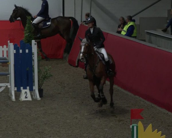 Reitturnier Salzkotten 2019