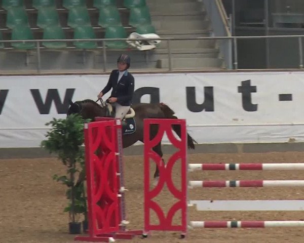 Reitturnier Kreuth/Opf. 2019