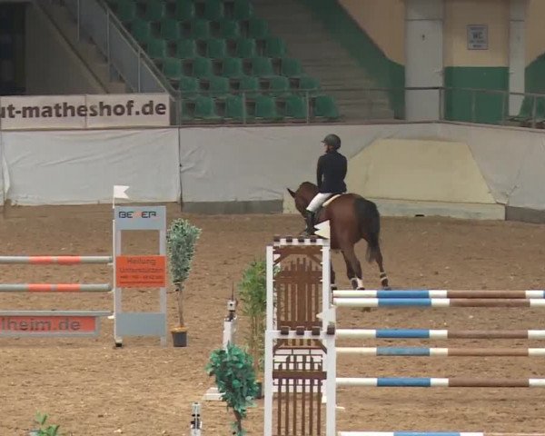 Reitturnier Kreuth/Opf. 2019