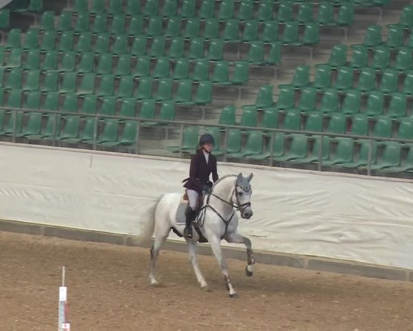 Reitturnier Kreuth/Opf. 2019