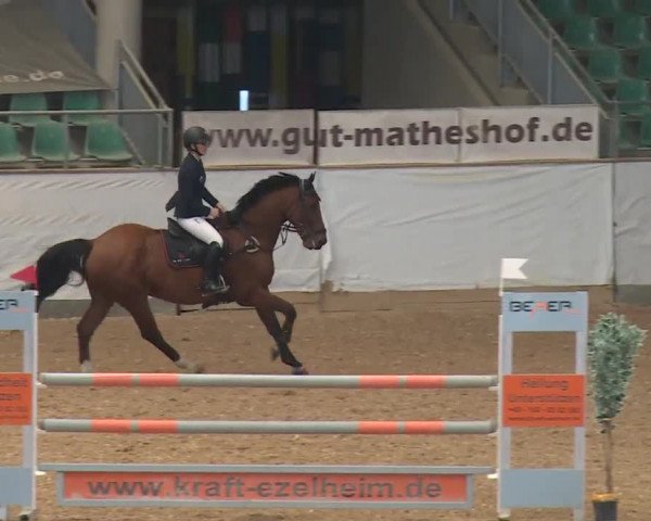 Reitturnier Kreuth/Opf. 2019