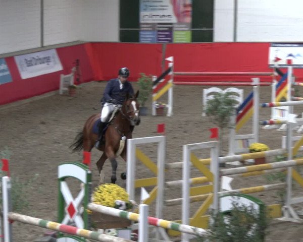 Reitturnier Salzkotten 2019