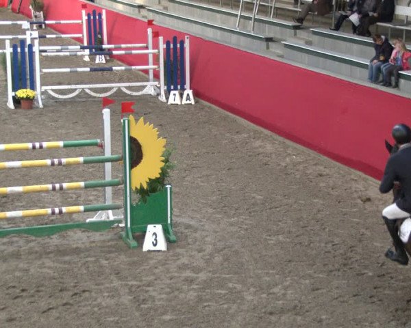 Reitturnier Salzkotten 2019