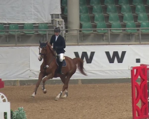 Reitturnier Kreuth/Opf. 2019