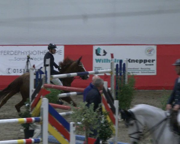 Reitturnier Salzkotten 2019