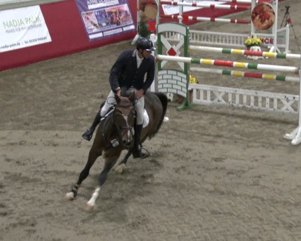 Reitturnier Salzkotten 2019