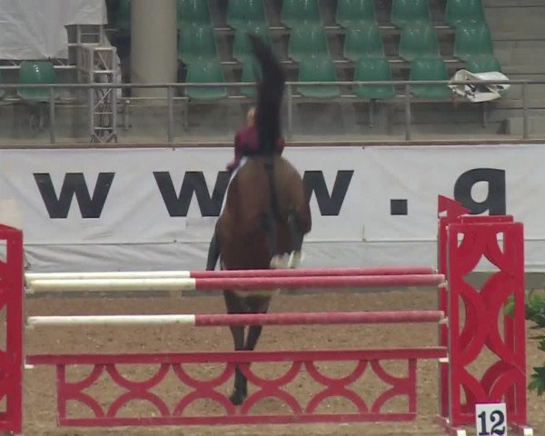 Reitturnier Kreuth/Opf. 2019