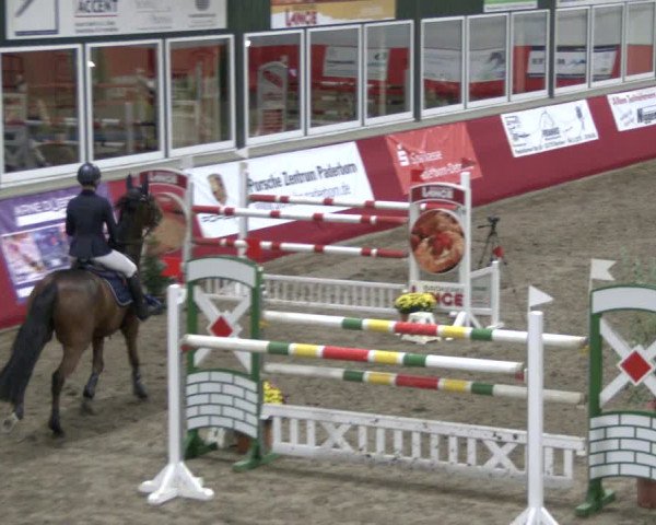 Reitturnier Salzkotten 2019
