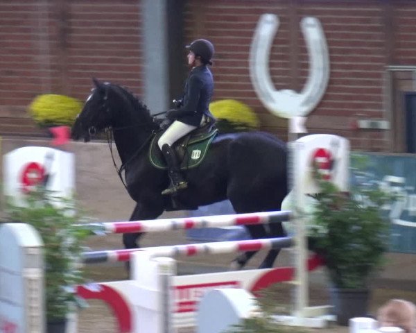 Reitturnier Köln-Leverkusen 2019