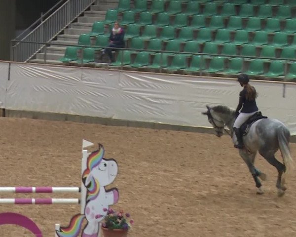 Reitturnier Kreuth/Opf. 2019