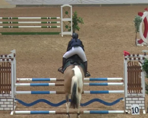 Reitturnier Kreuth/Opf. 2019