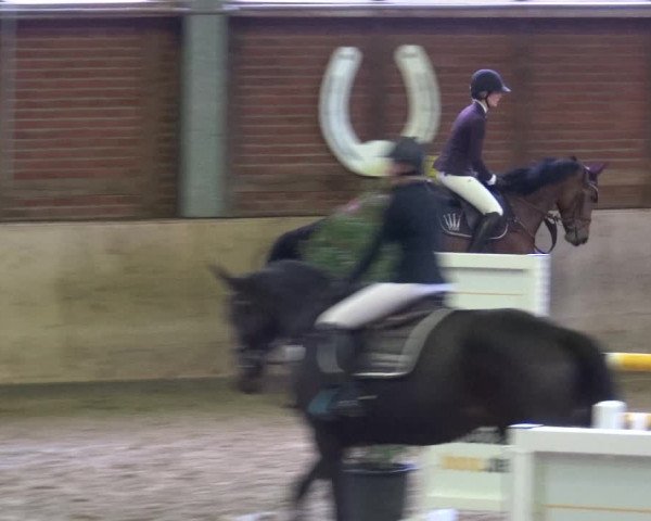 Reitturnier Köln-Leverkusen 2019