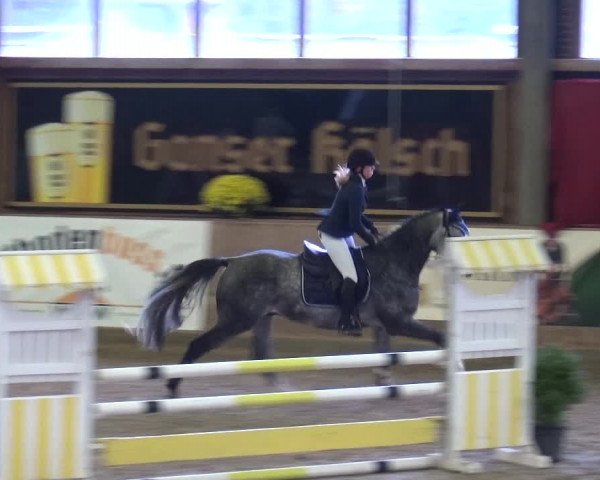 Reitturnier Köln-Leverkusen 2019