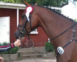 jumper Emilia-Carlotti (Holsteiner, 2012, from Casall Ask)