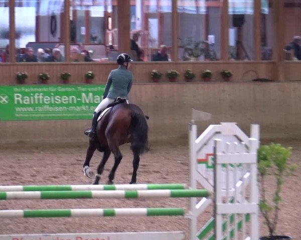 Reitturnier Köln-Leverkusen 2019