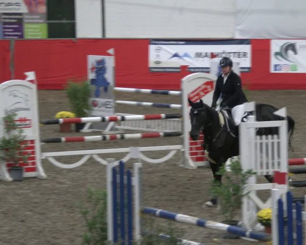 Reitturnier Salzkotten 2019