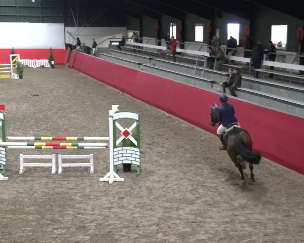 Reitturnier Salzkotten 2019
