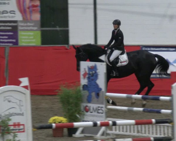 Reitturnier Salzkotten 2019
