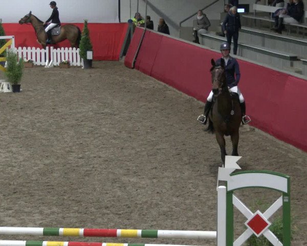 Reitturnier Salzkotten 2019