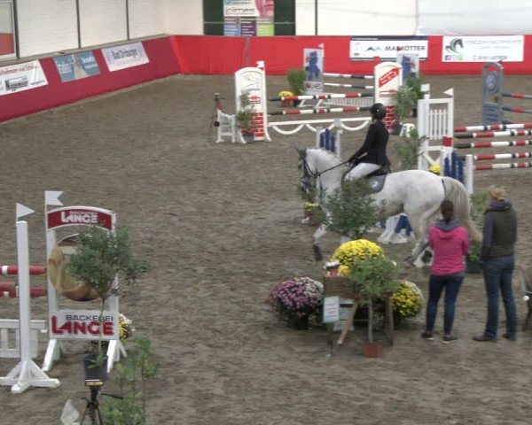 Reitturnier Salzkotten 2019
