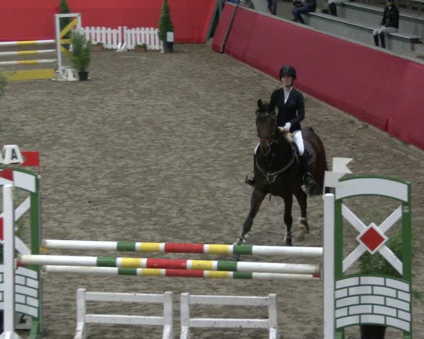 Reitturnier Salzkotten 2019