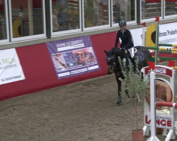 Reitturnier Salzkotten 2019