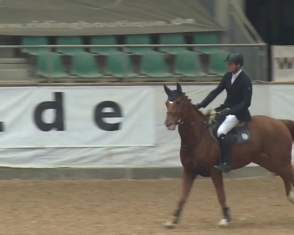 Reitturnier Kreuth/Opf. 2019