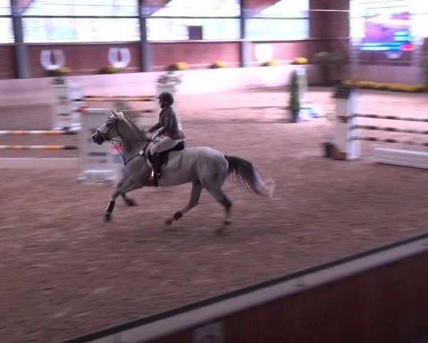 Reitturnier Köln-Leverkusen 2019
