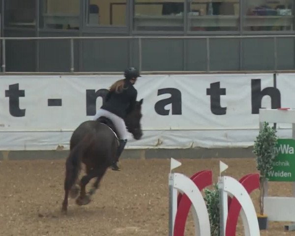 Reitturnier Kreuth/Opf. 2019