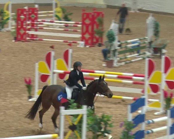 Reitturnier Kreuth/Opf. 2019